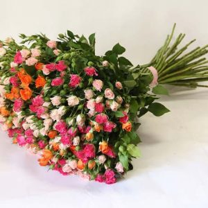 Букет из 25 кустовых роз № 35